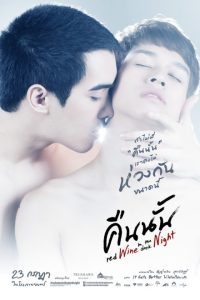 Red Wine in the Dark Night (2015) poster